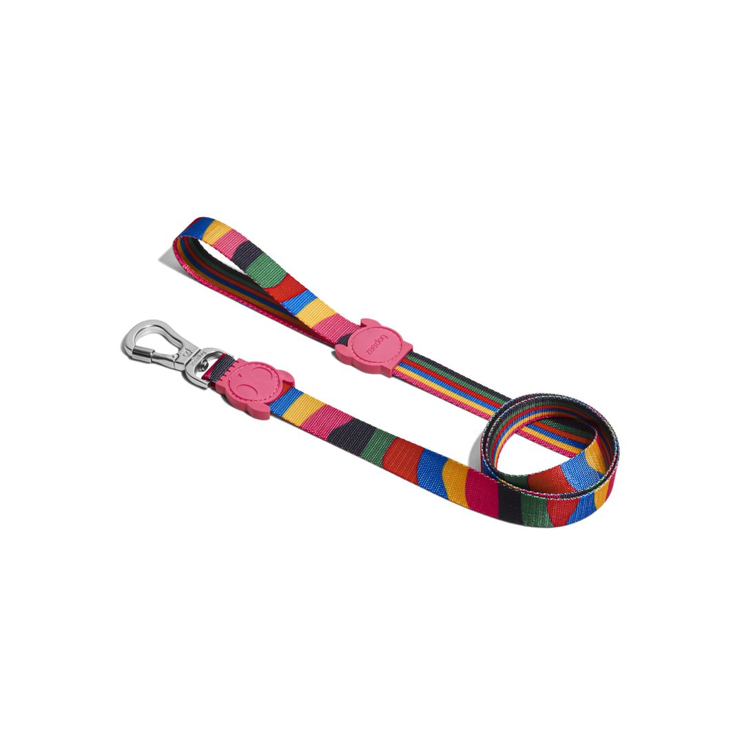 Chroma Leash