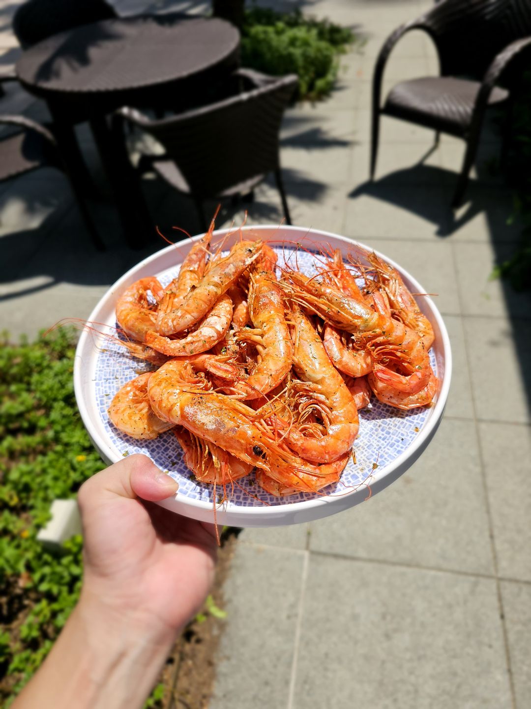 Argentina Red Shrimp