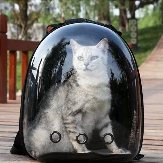 TRANSPORTADOR TIPO MOCHILA PARA GATOS