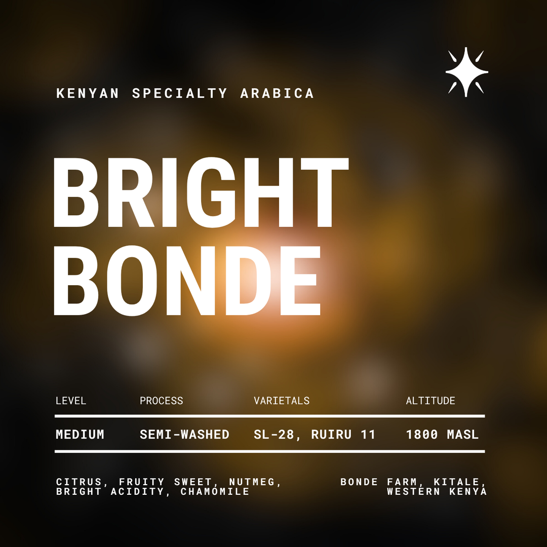 Bright Bonde | Semi-Washed Arabica