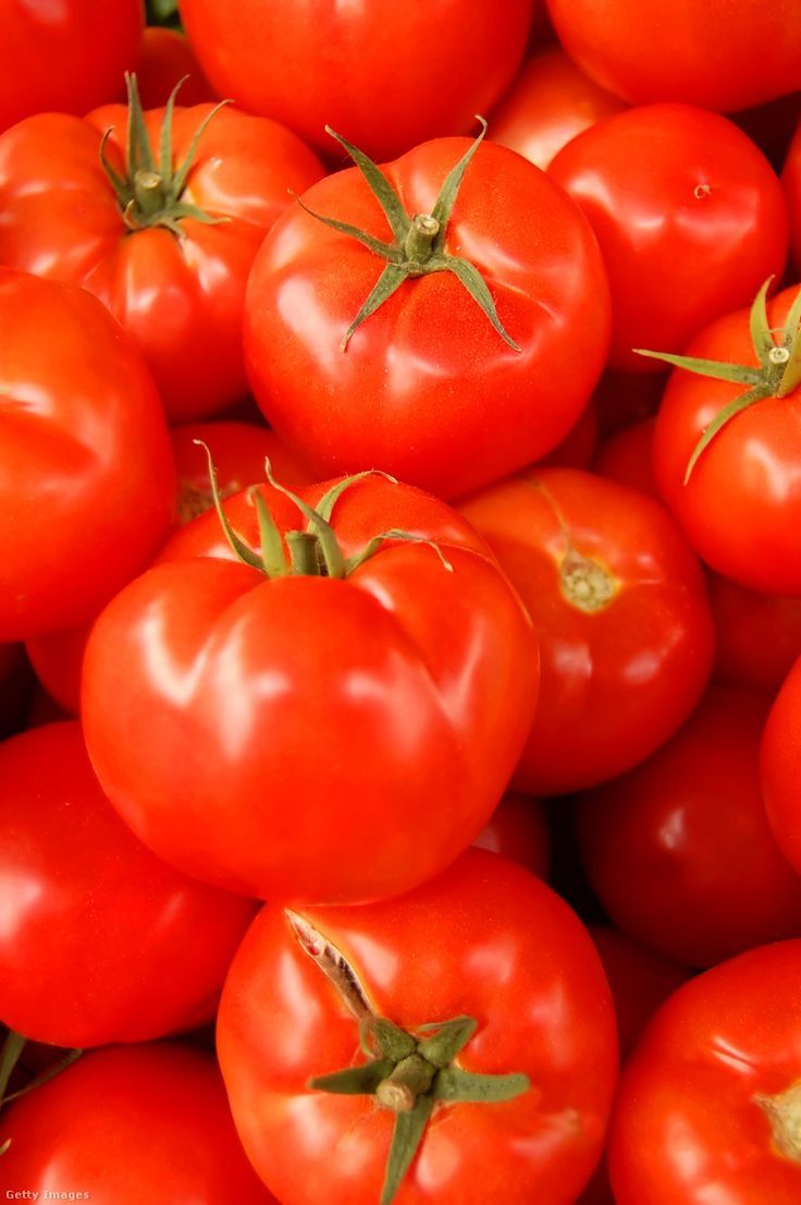 Tomate
