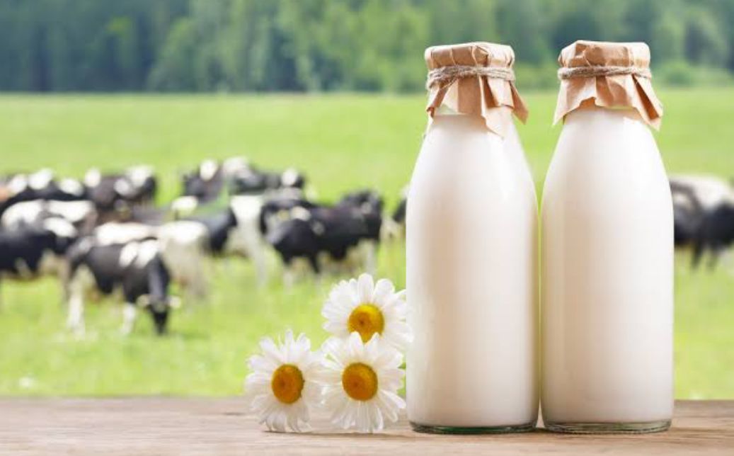 Milk