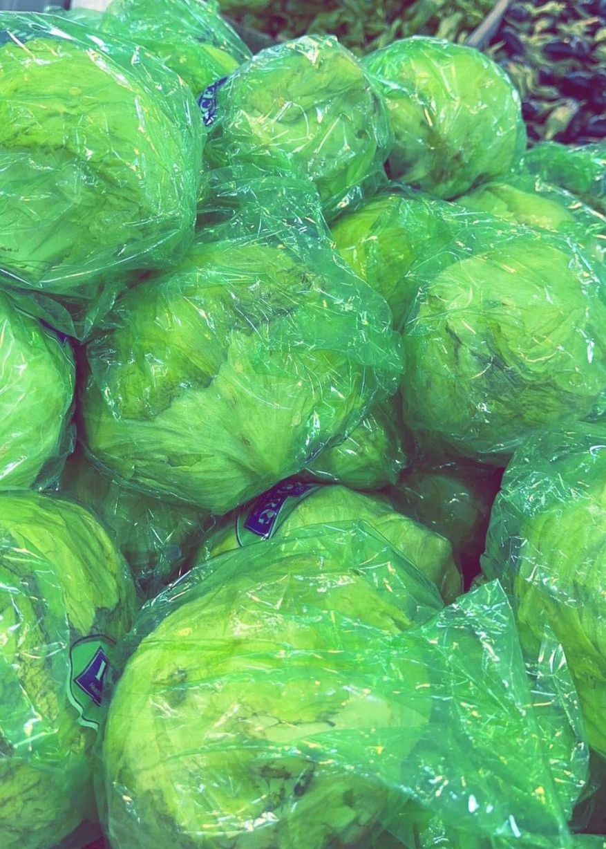خس أمريكي 