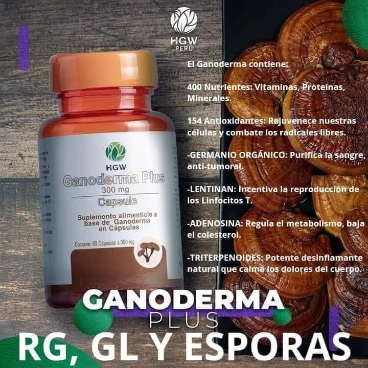 Capsula de Ganoderma 