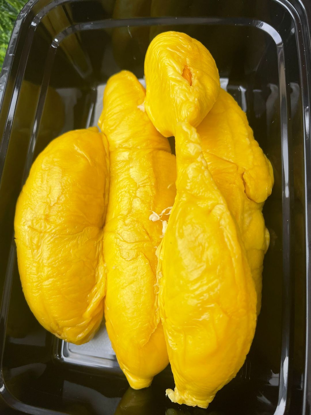 400-420g Raja Kunyit (Bittersweet, creamy) 坤玉 (苦甜，奶油状)