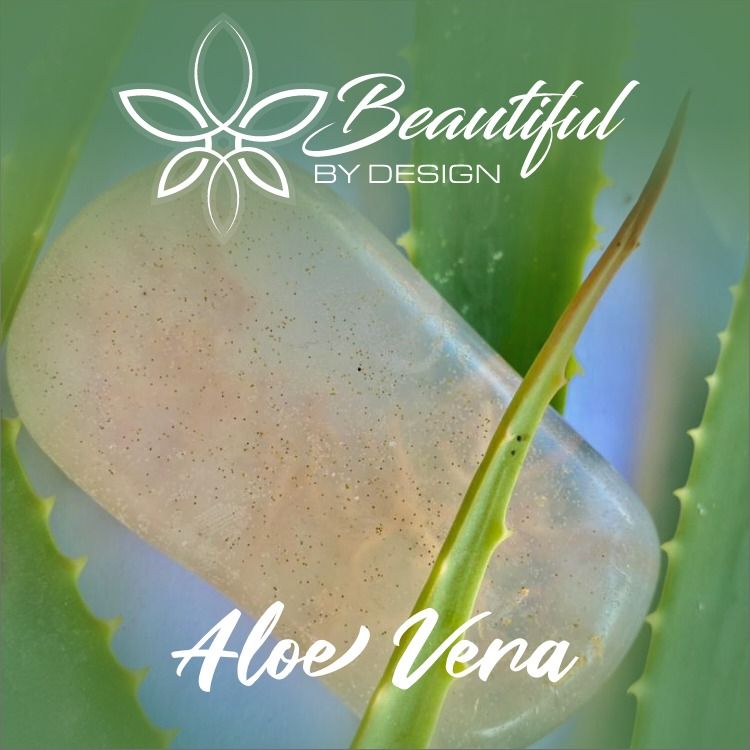 Aloe vera 