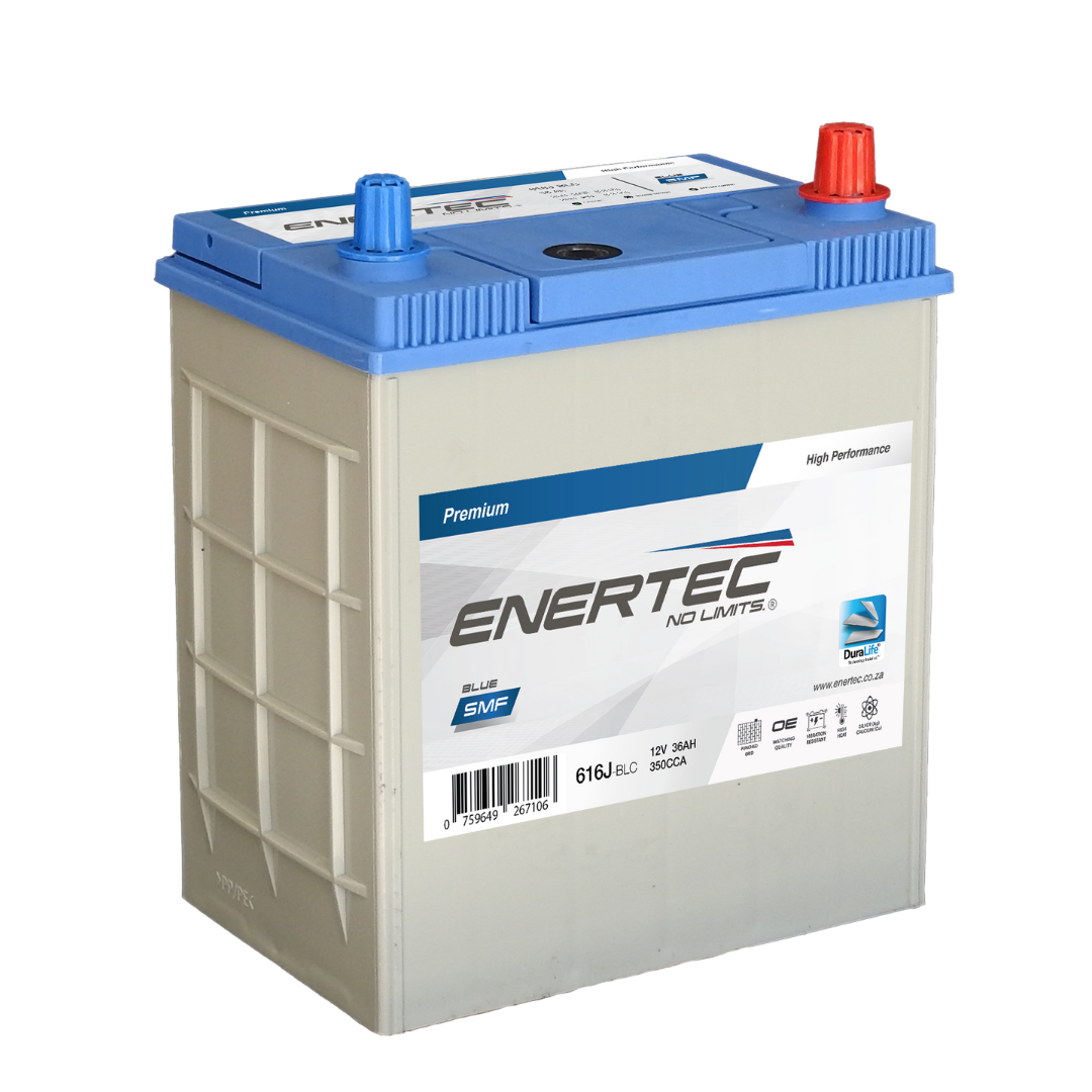 616J-BLC 12V 36Ah Enertec Blue Lead Calcium