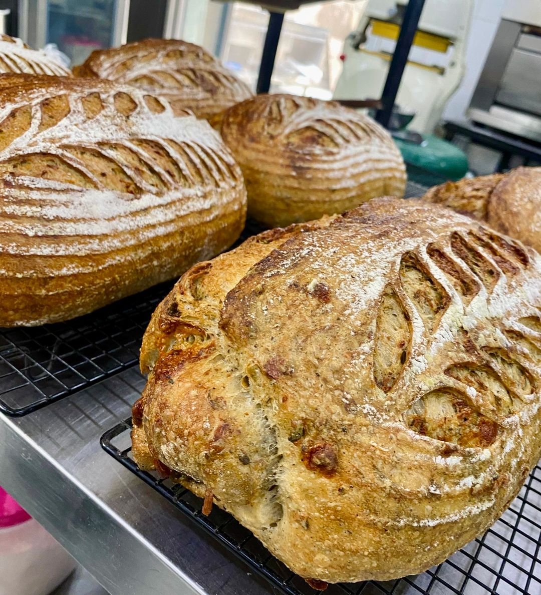 Farmhouse cheddar and herb sourdough