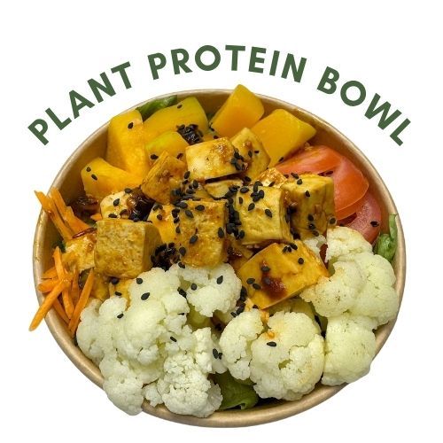 Plant Protein Bowl