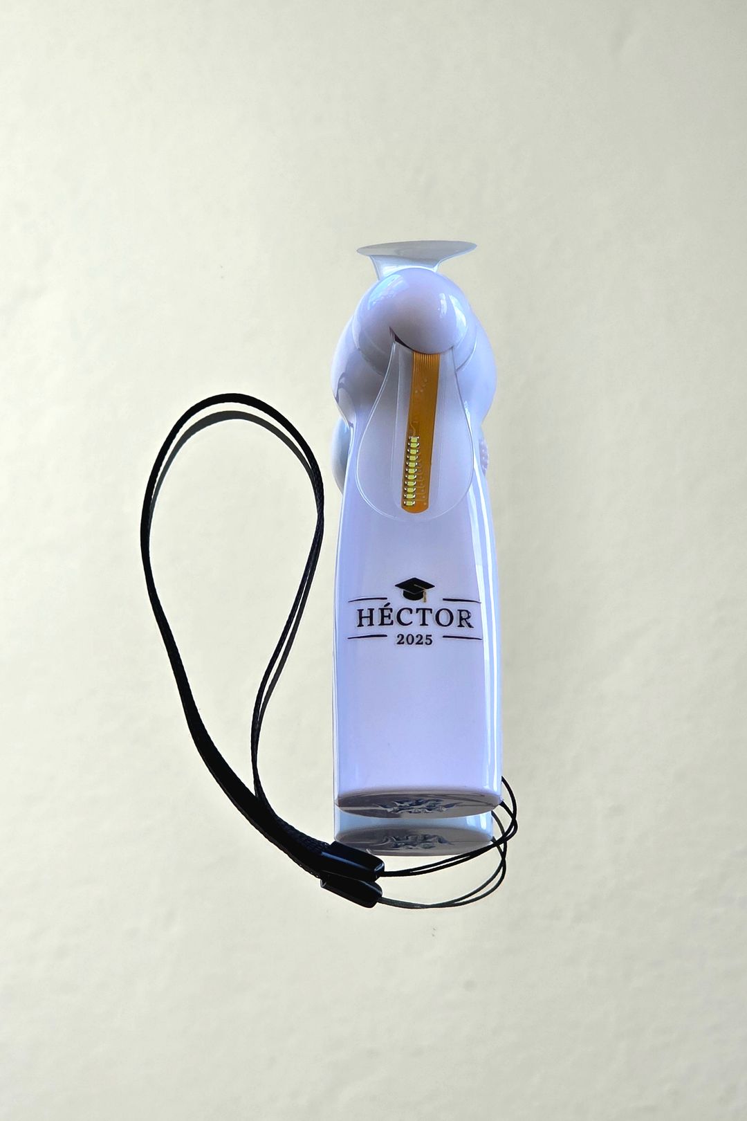 LED Fan