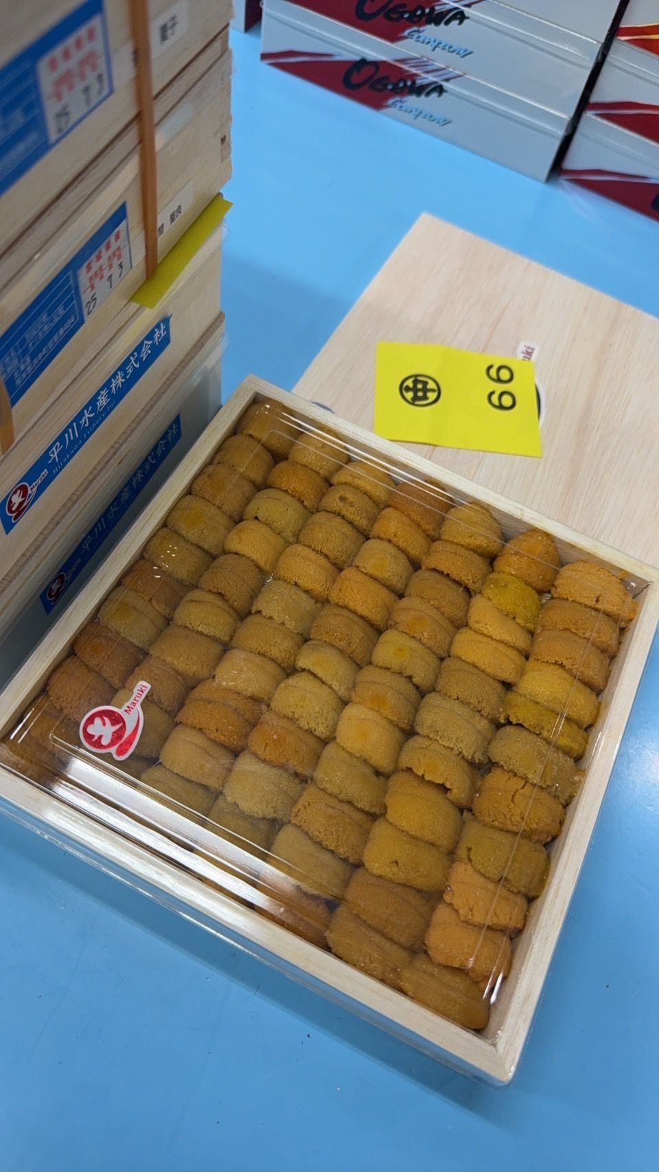 (MURASAKI) 400g 'Hirakawa 平川' Ranked Uni