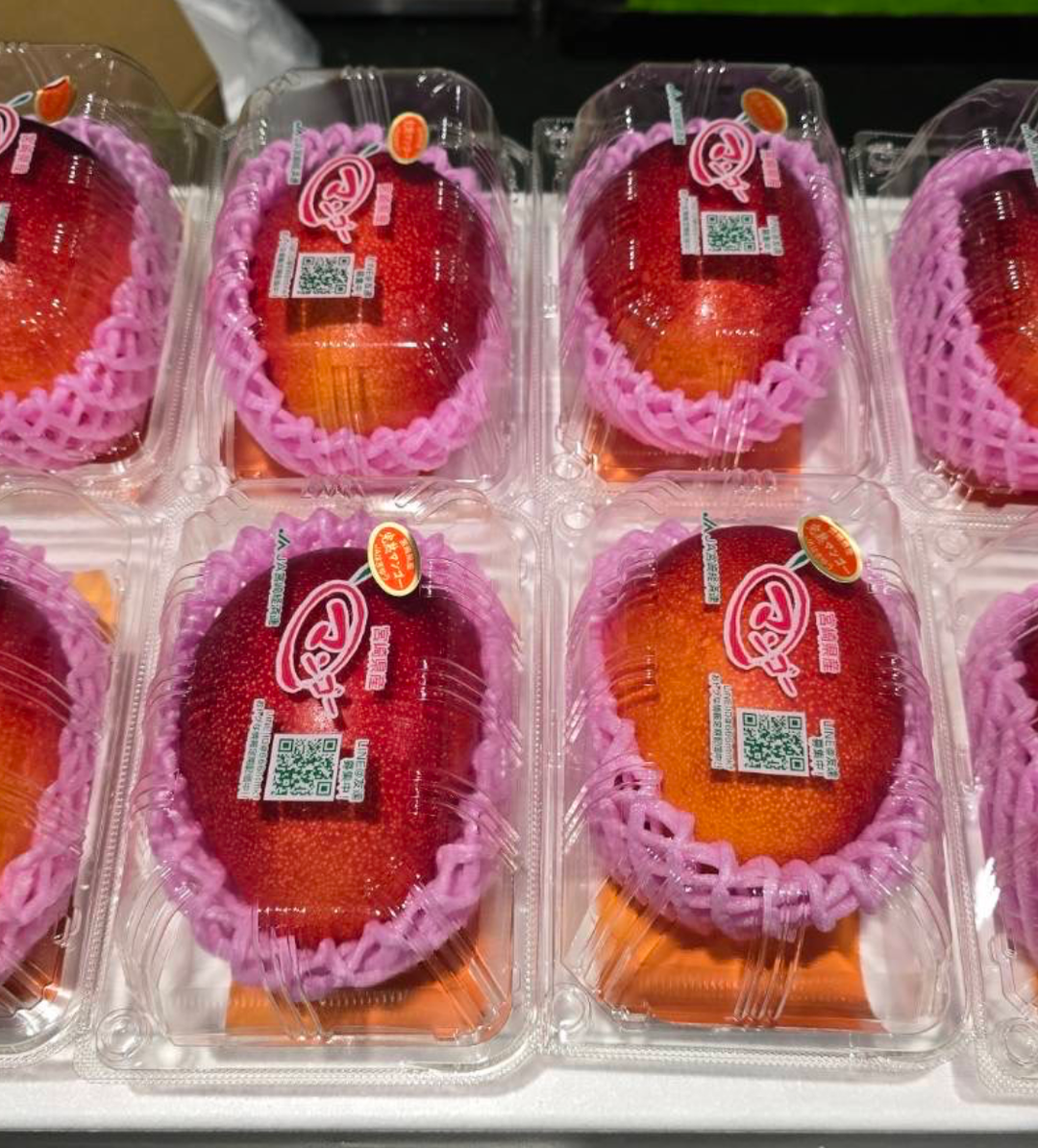 (HUGE AND SWEET) Miyazaki Mango (4L) 宮崎マンゴー | Miyazaki Prefecture (宮崎県)