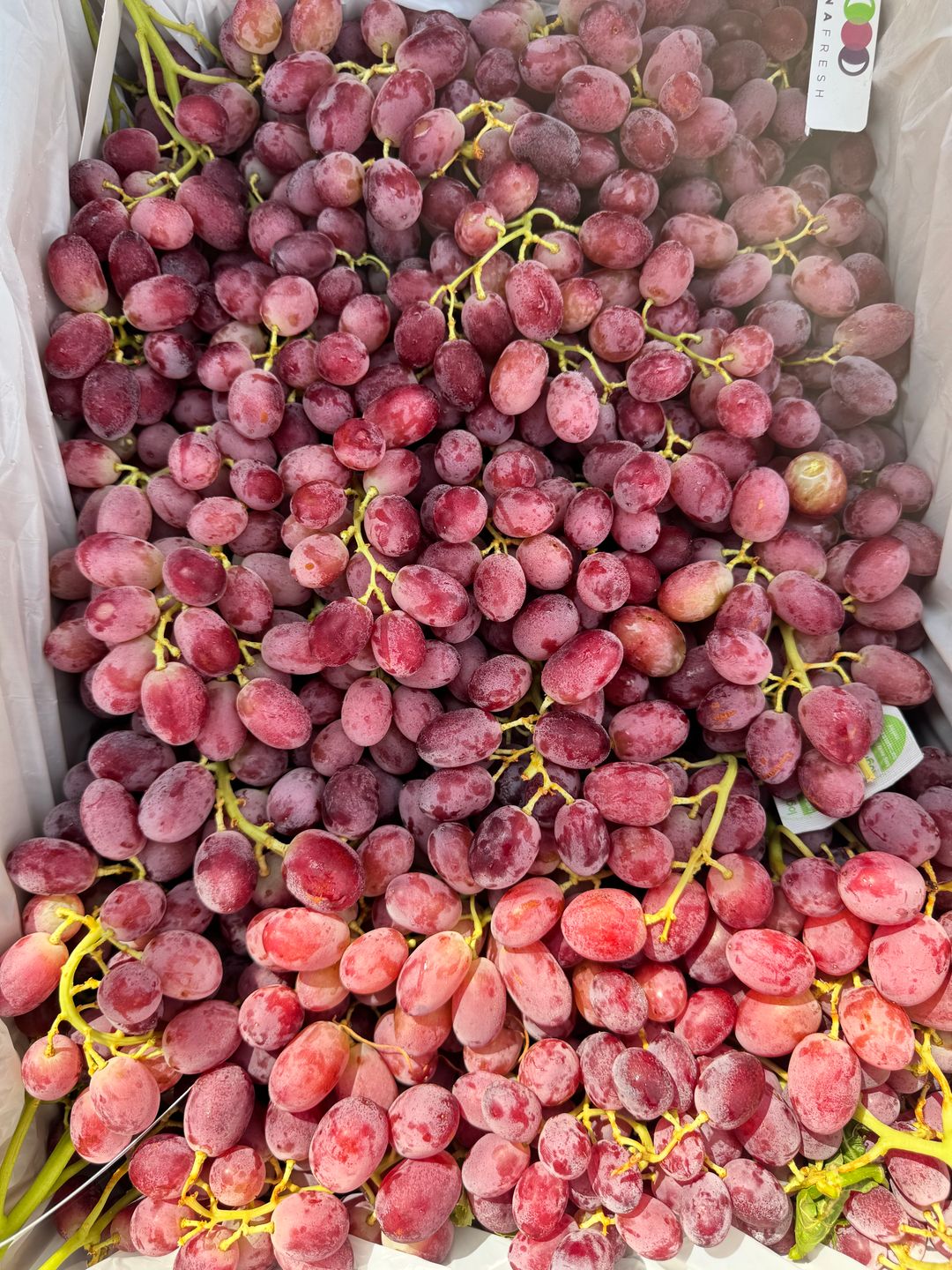 Australia Crismson Red Seedless Grapes