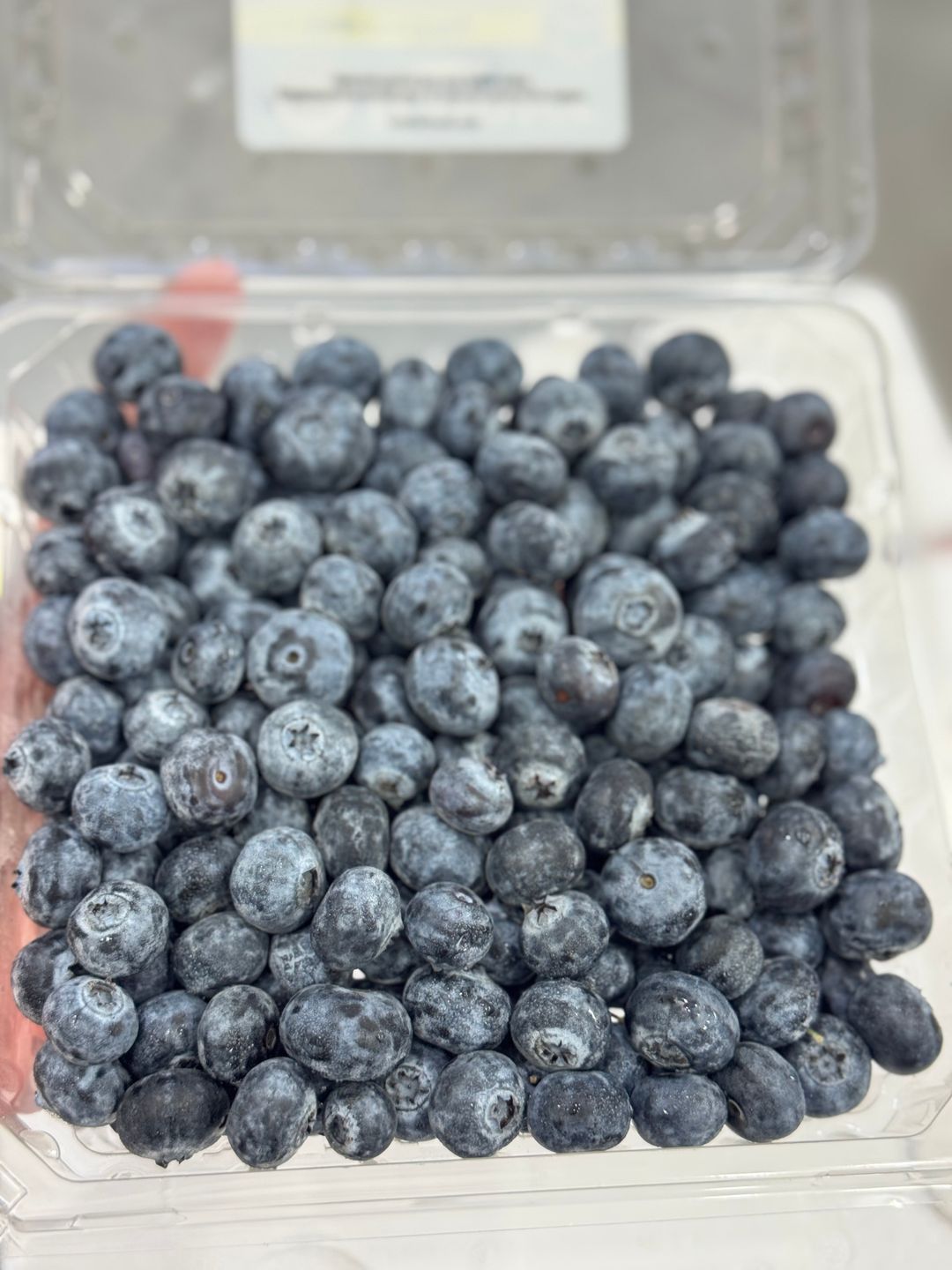 USA Organic Blueberry - 510g 