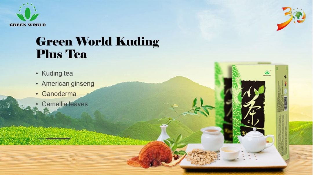Green World Kuding Plus Tea