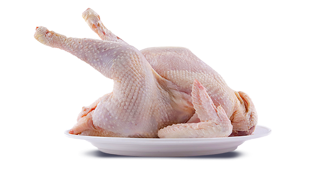 Poulet Coquelet  🐔 