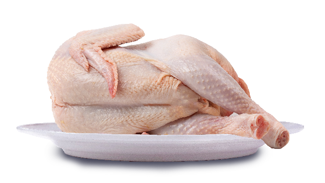 Poulet hybride  🐓 