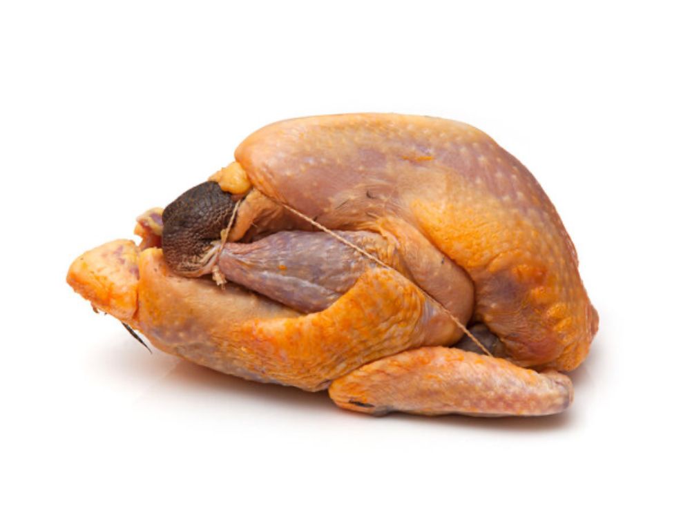 Pintade Africain 