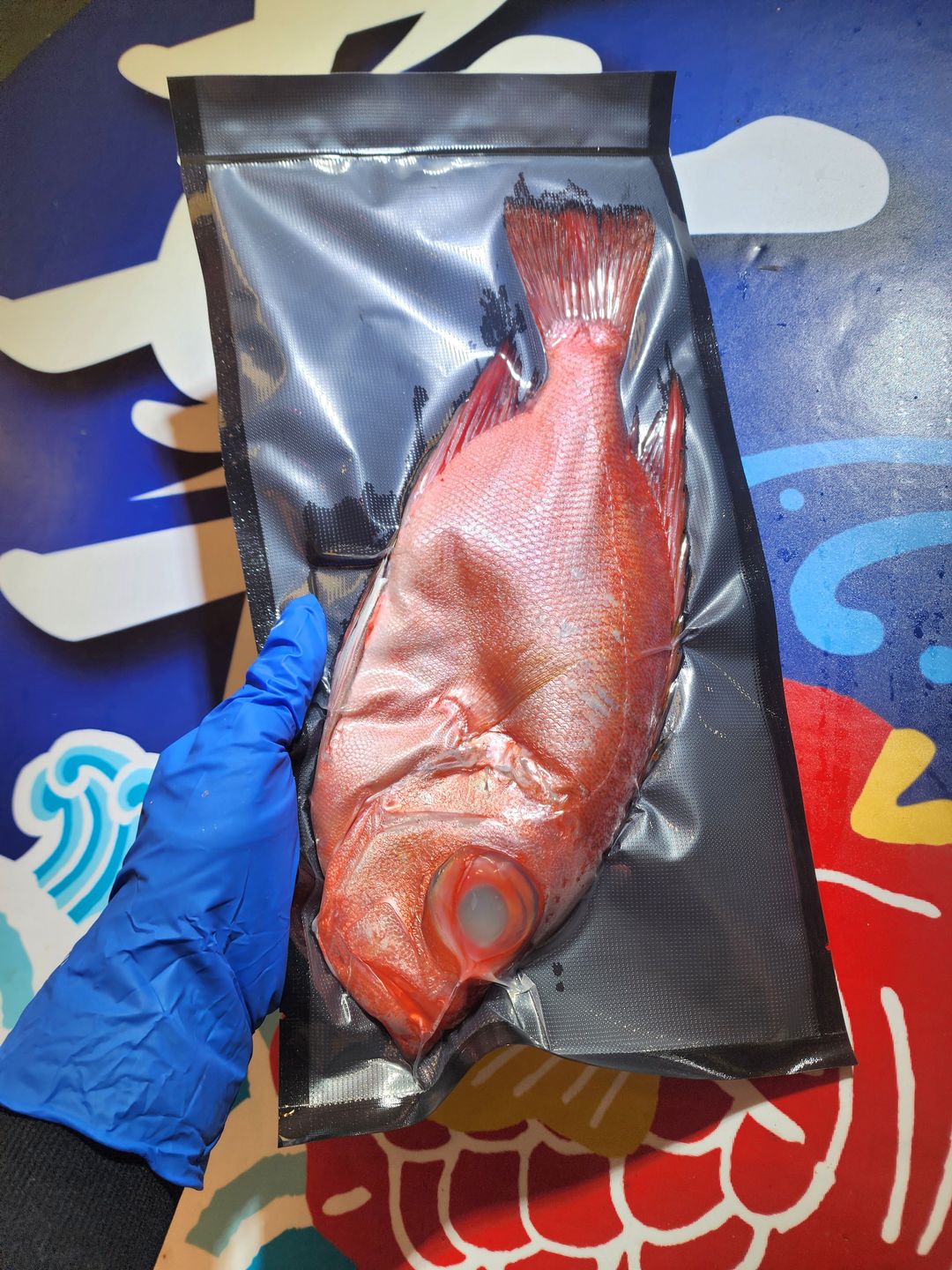 日本深水大眼鯛魚🐟（連皮版🌟）（約15兩）