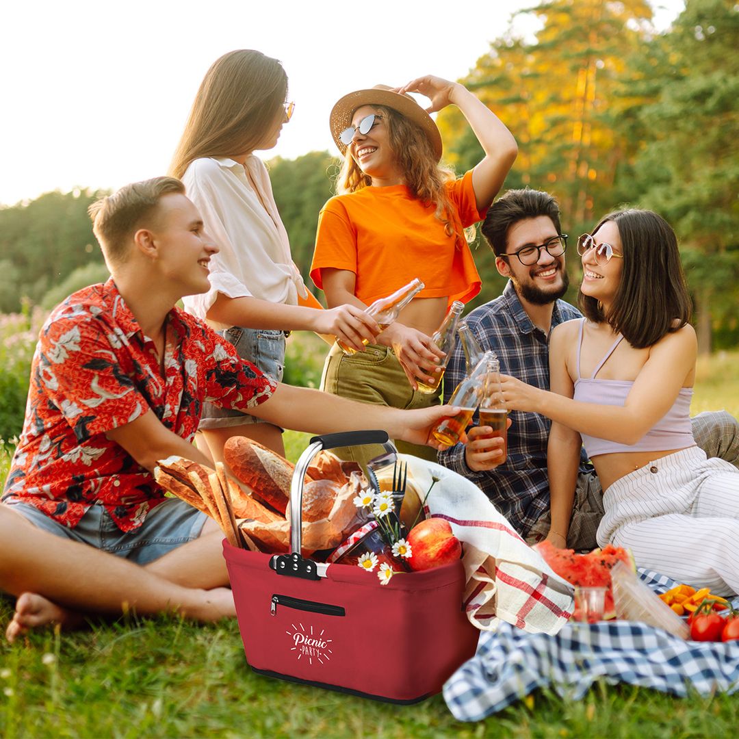 Compatto Foldable Picnic Basket - Blue