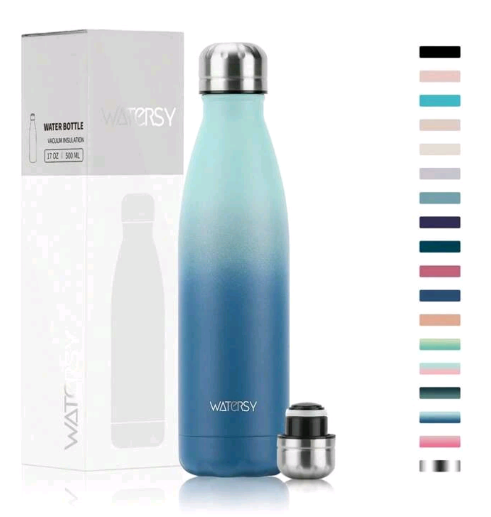 WATERSY Stainless Steel Water Bottle (500ml).
