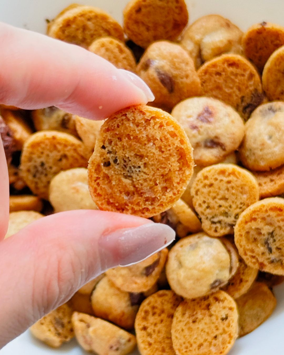 Milo Malt Cookie Bites