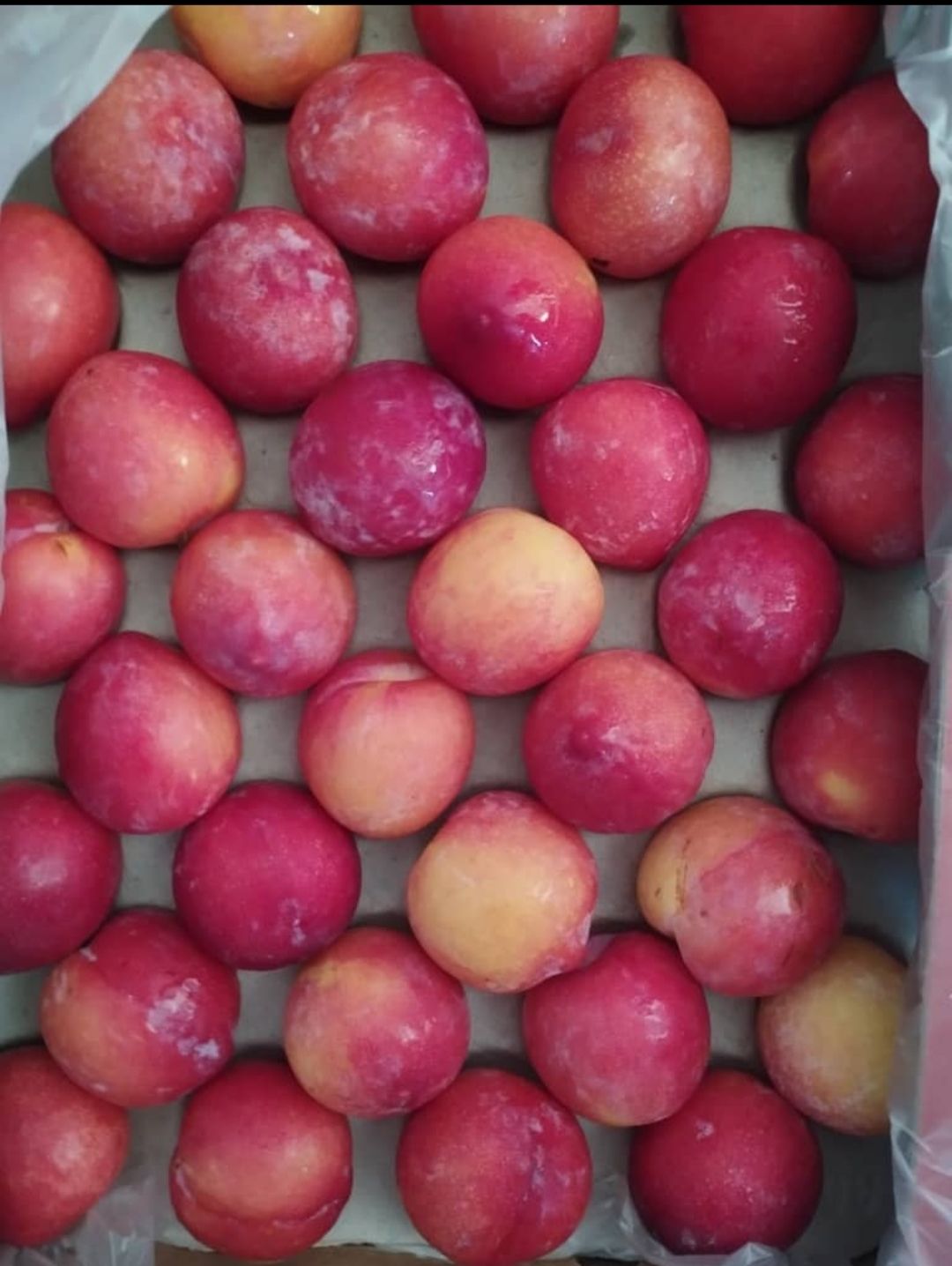 Plums 500 g