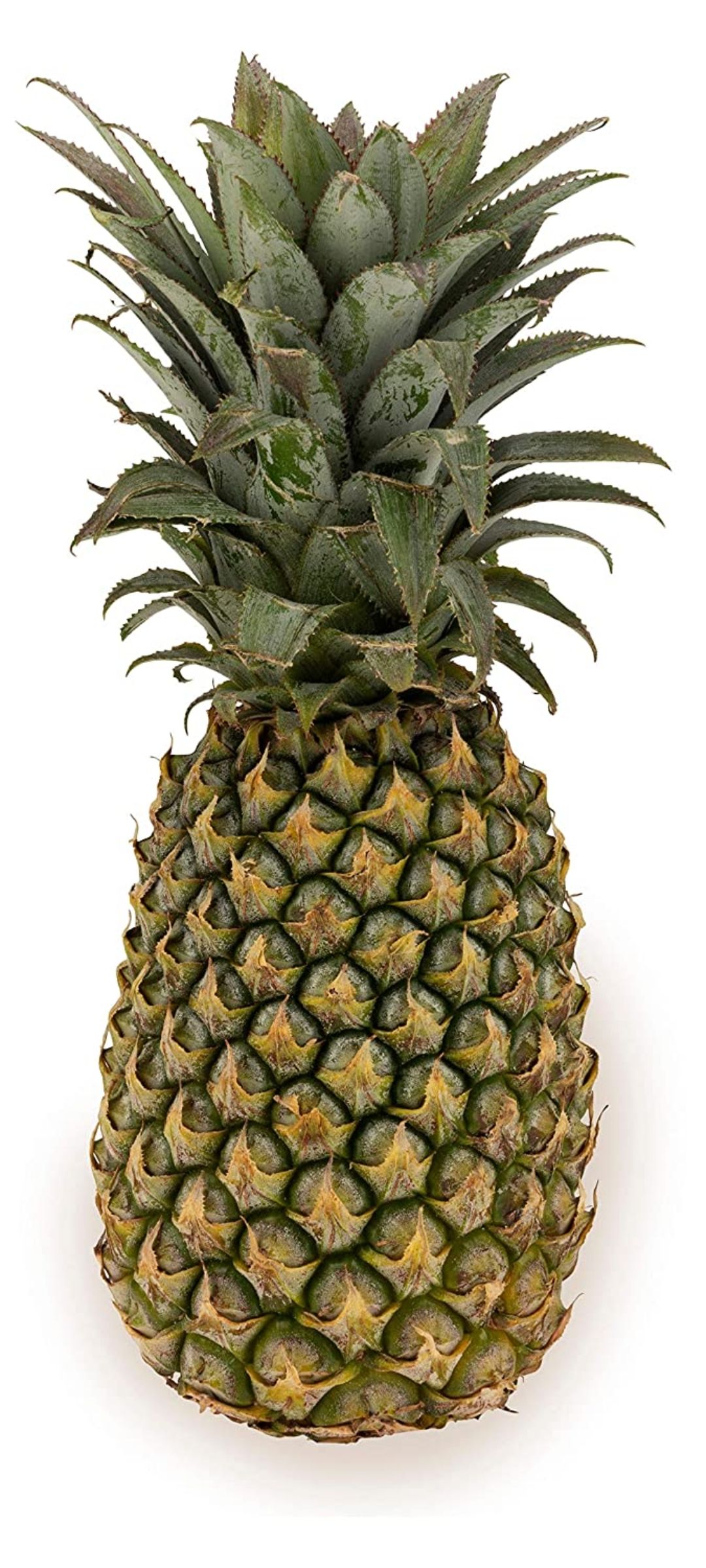 Pineapple 1 pc