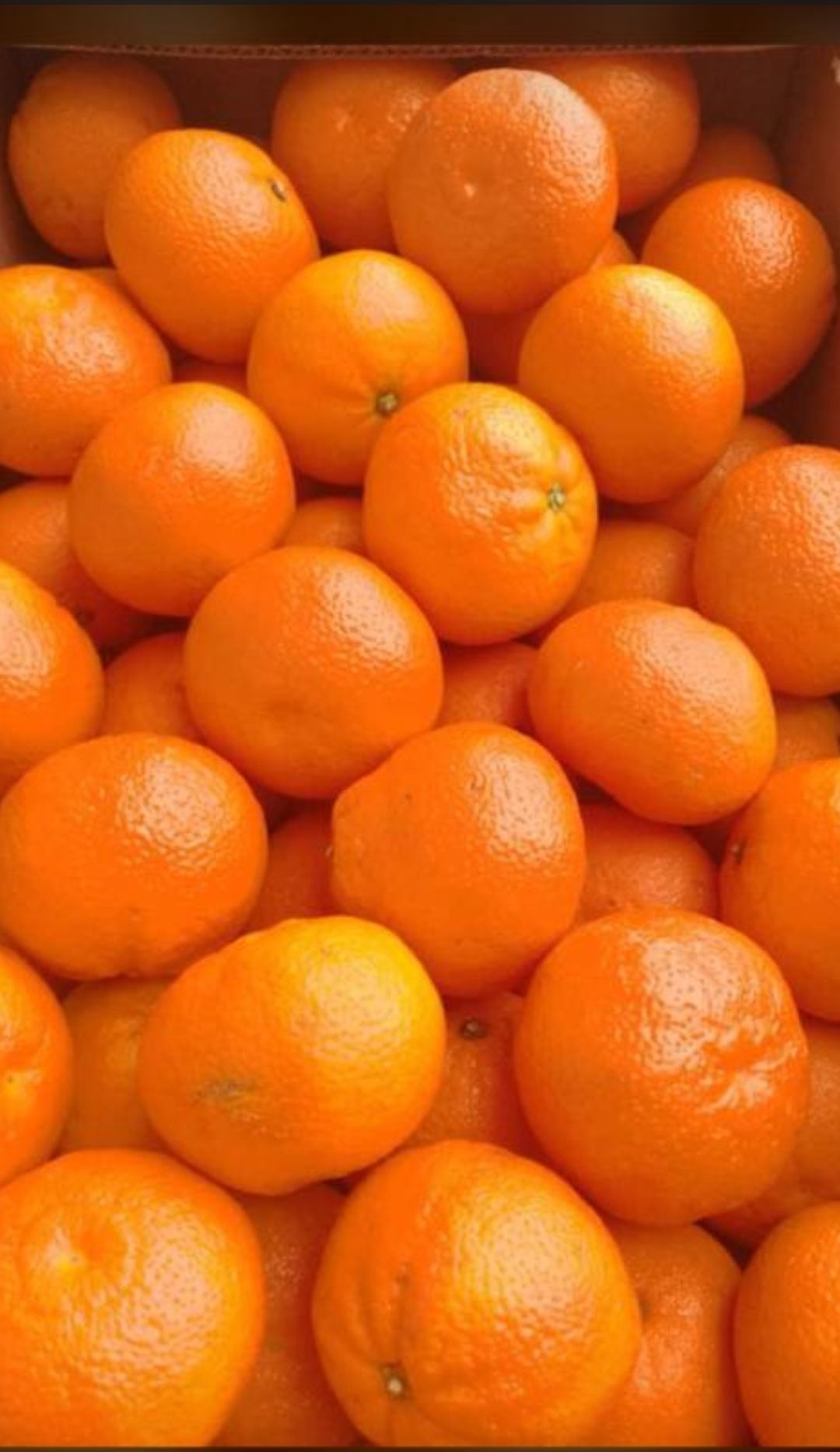Tangerine 500 g