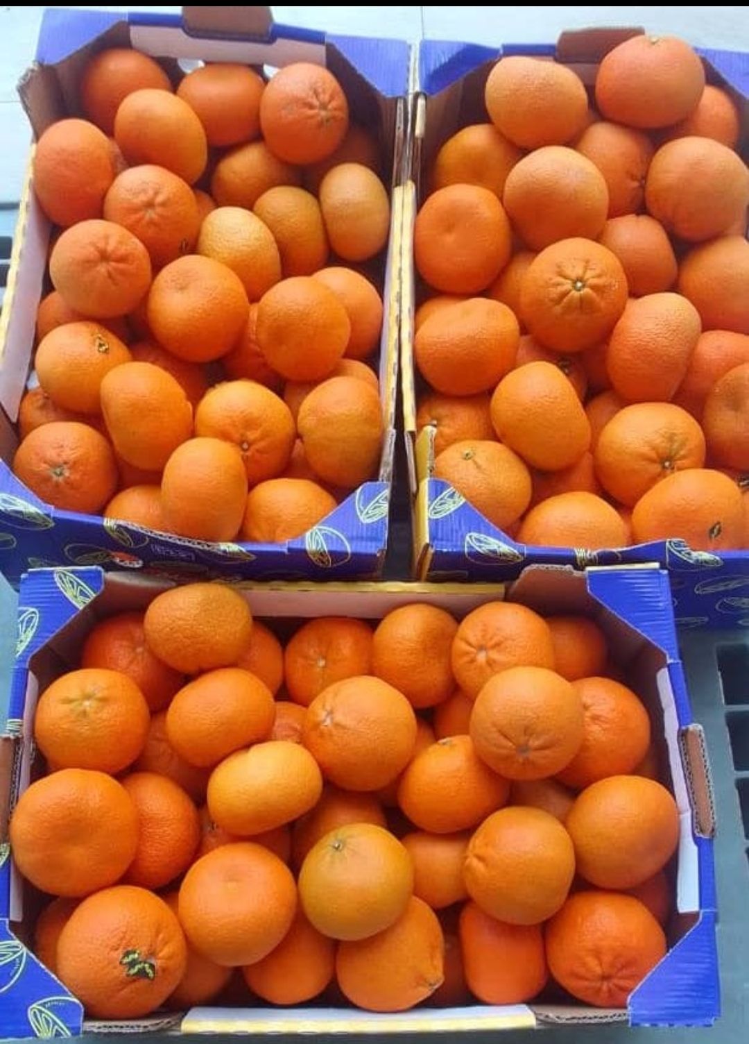Tangerine 1 kg