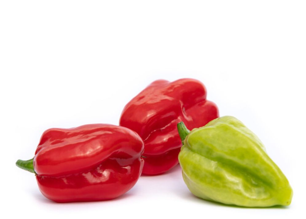 Piment Vert