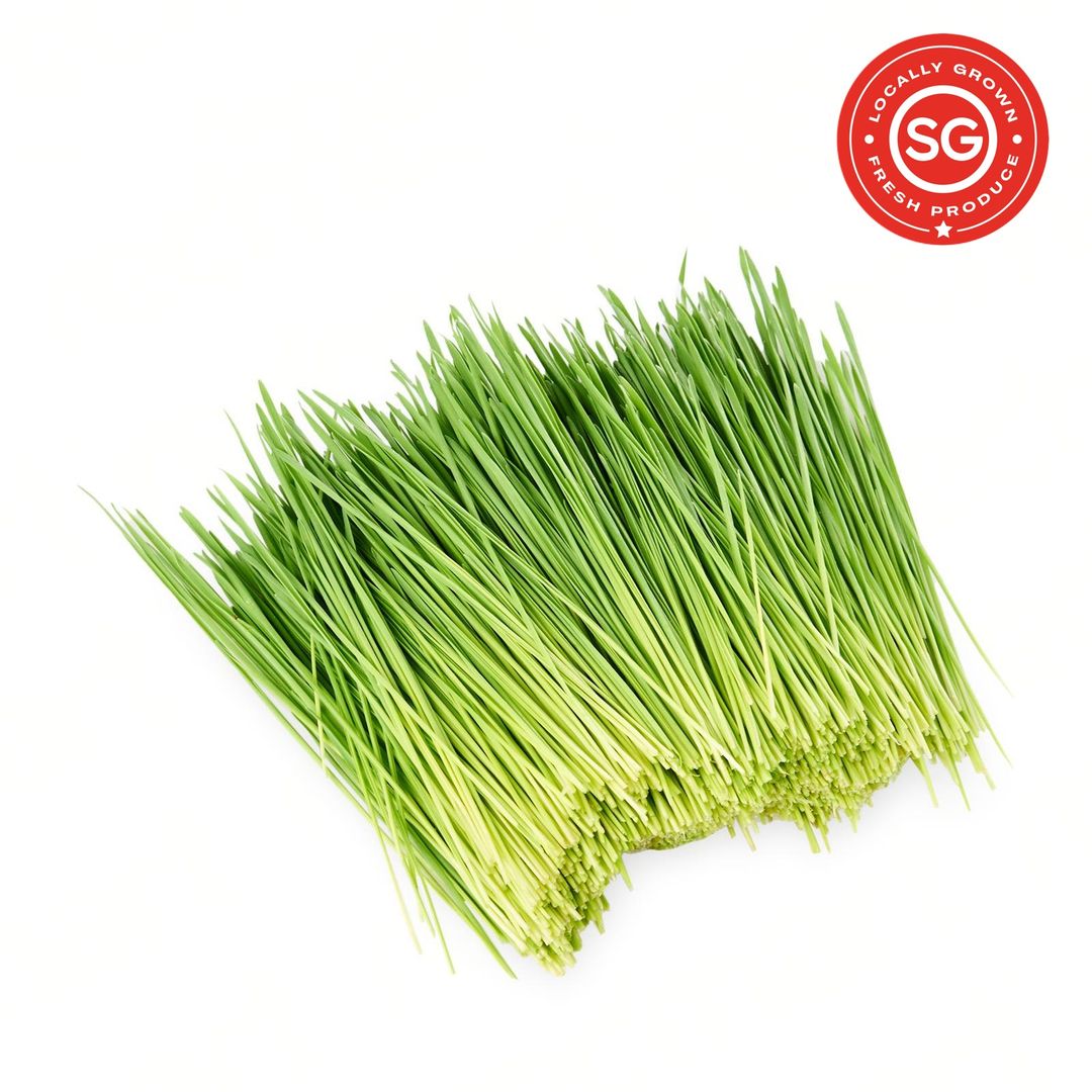 SG Locally Grown - Fresh Premium Wheatgrass 新鲜小麦草