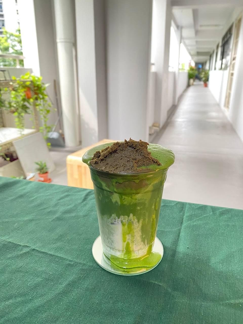 Hojicha pudding w/ matcha latte 