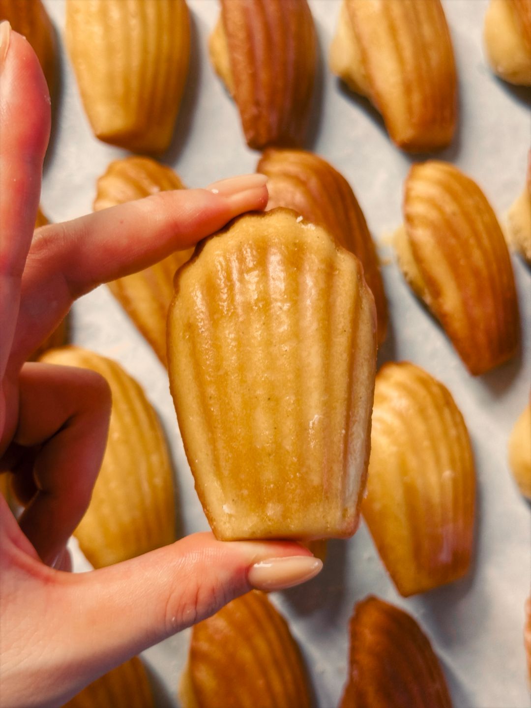 Brown Butter Whiskey Madeleines