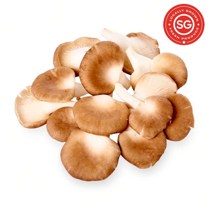 SG Fresh Golden Spring Mushroom 金源菇
