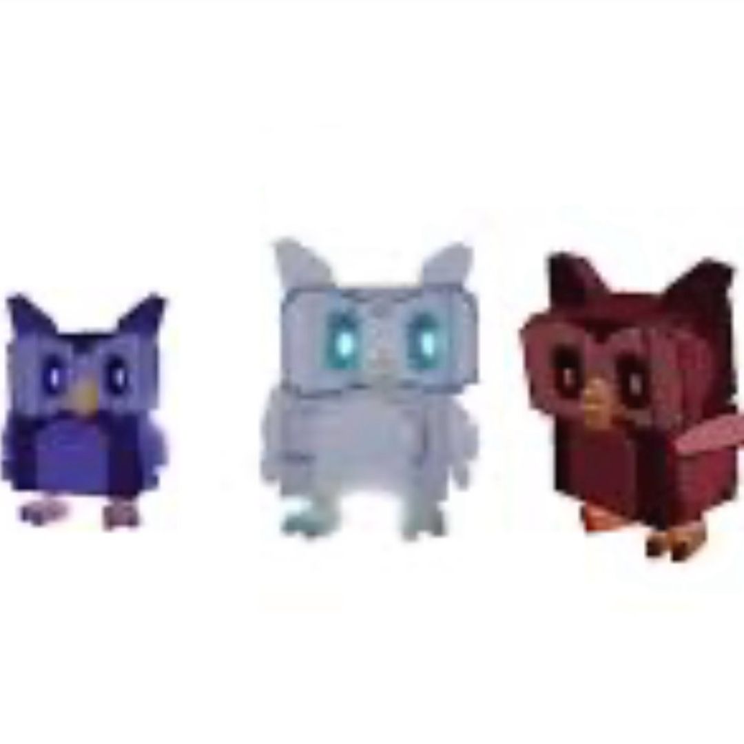 Owls