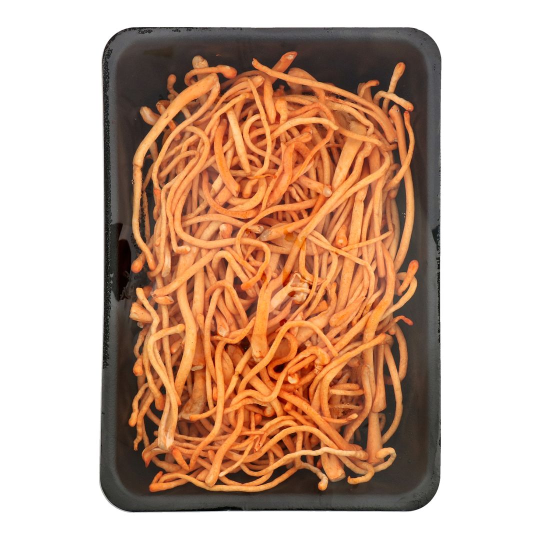 Fresh Cordyceps 蟲草花 
