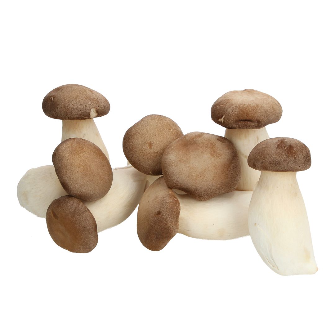 Fresh King Oyster Mushroom 杏鲍菇