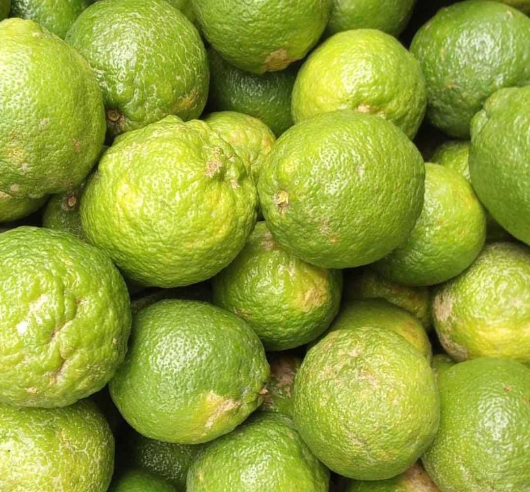 Lemon 500 g