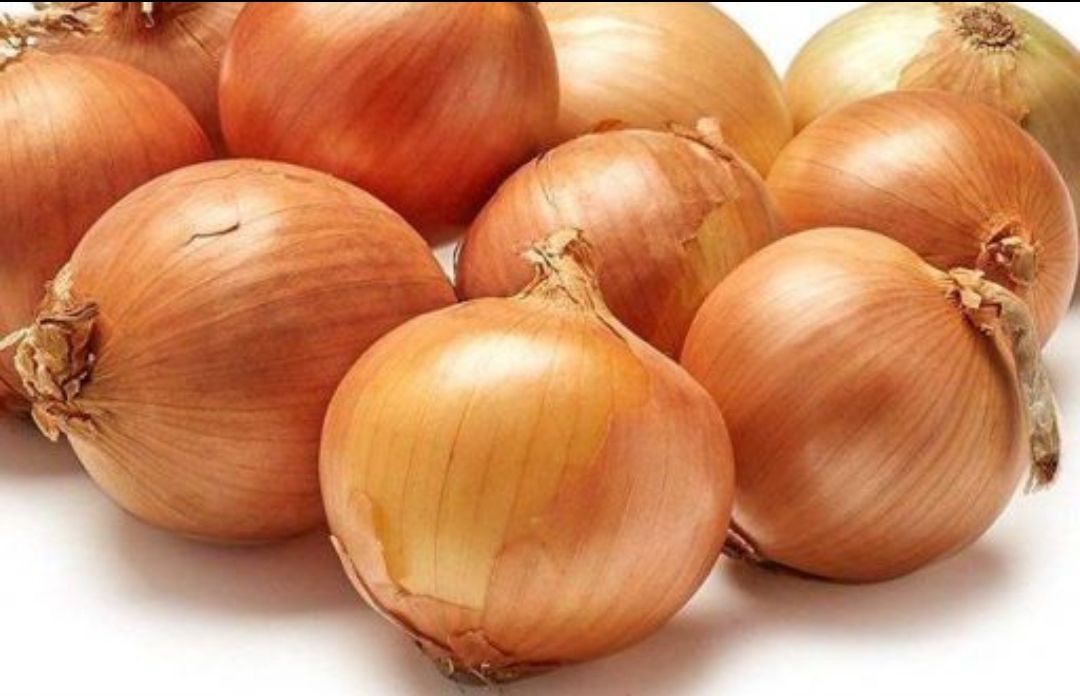Holland onion 1 kg
