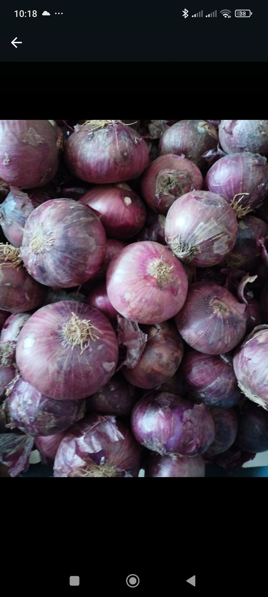 Red onion 3 kg
