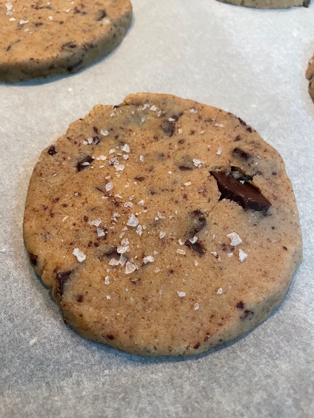 Gluten-Free | Vegan Chocolate Chip Cookie