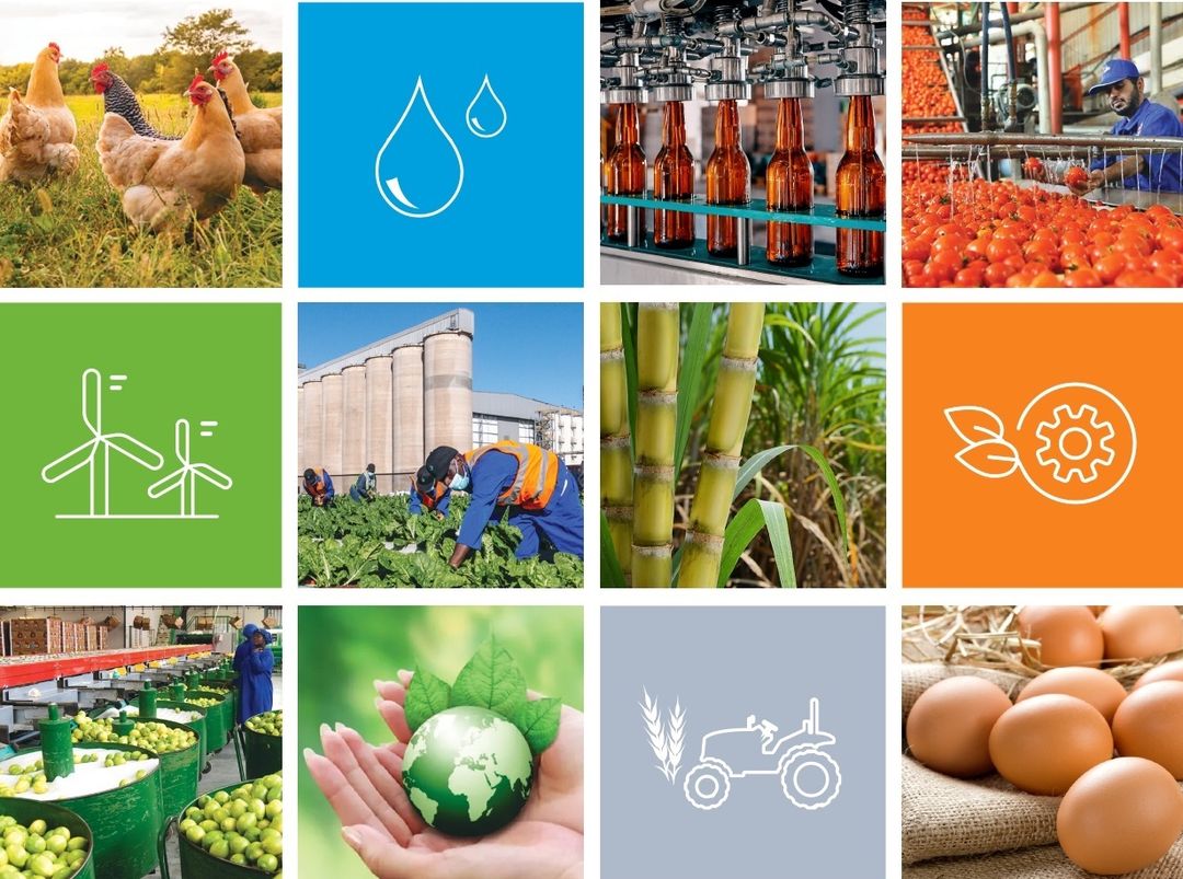 BetaNet™ Supplier Network Subscription