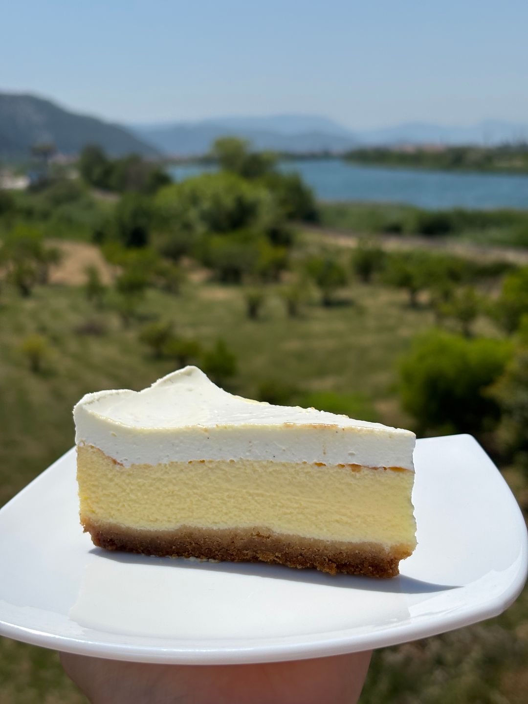  Cheescake