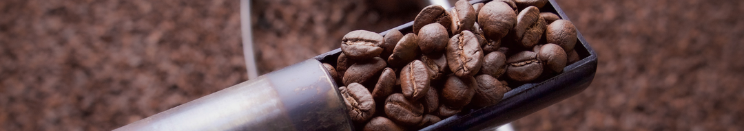Curso de tostado de café 