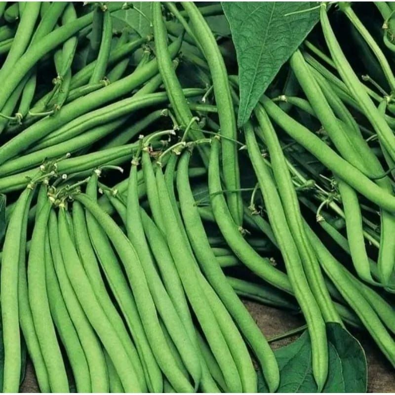 Baby Buncis (1kg)