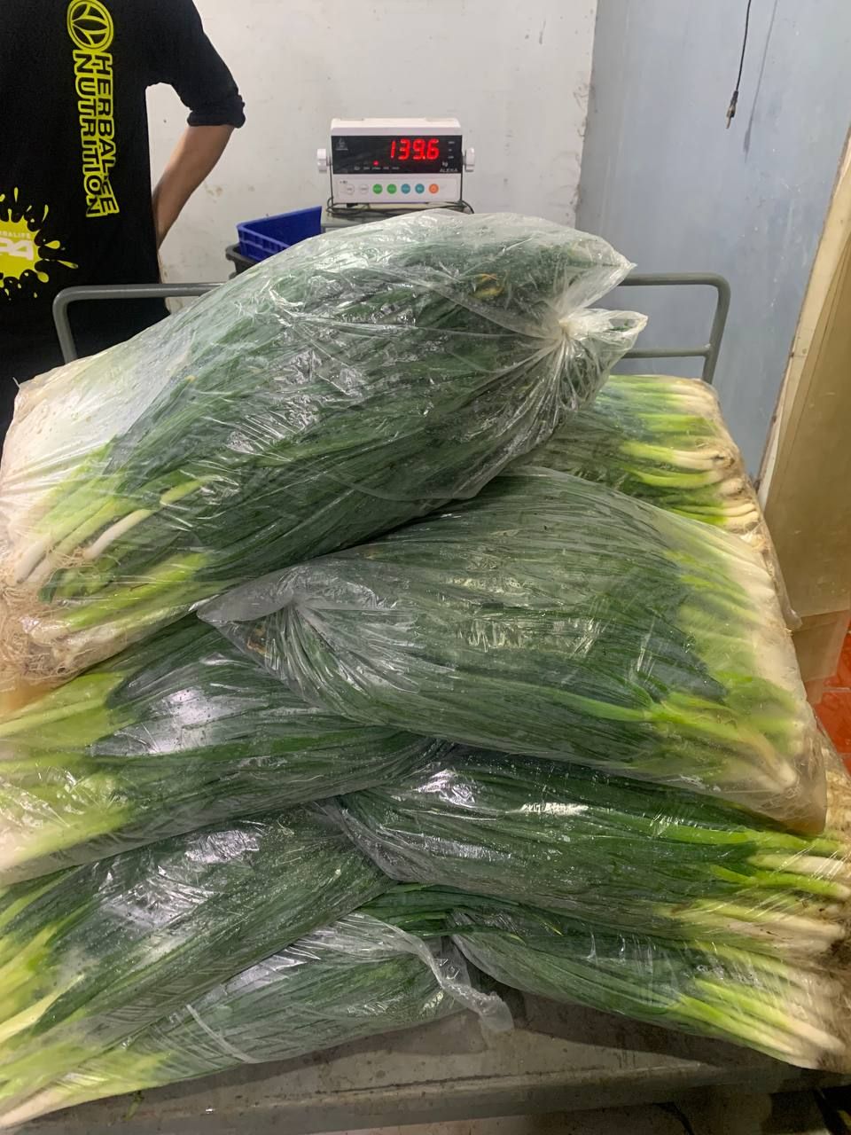 D. Bawang Cuci Akar (1kg)