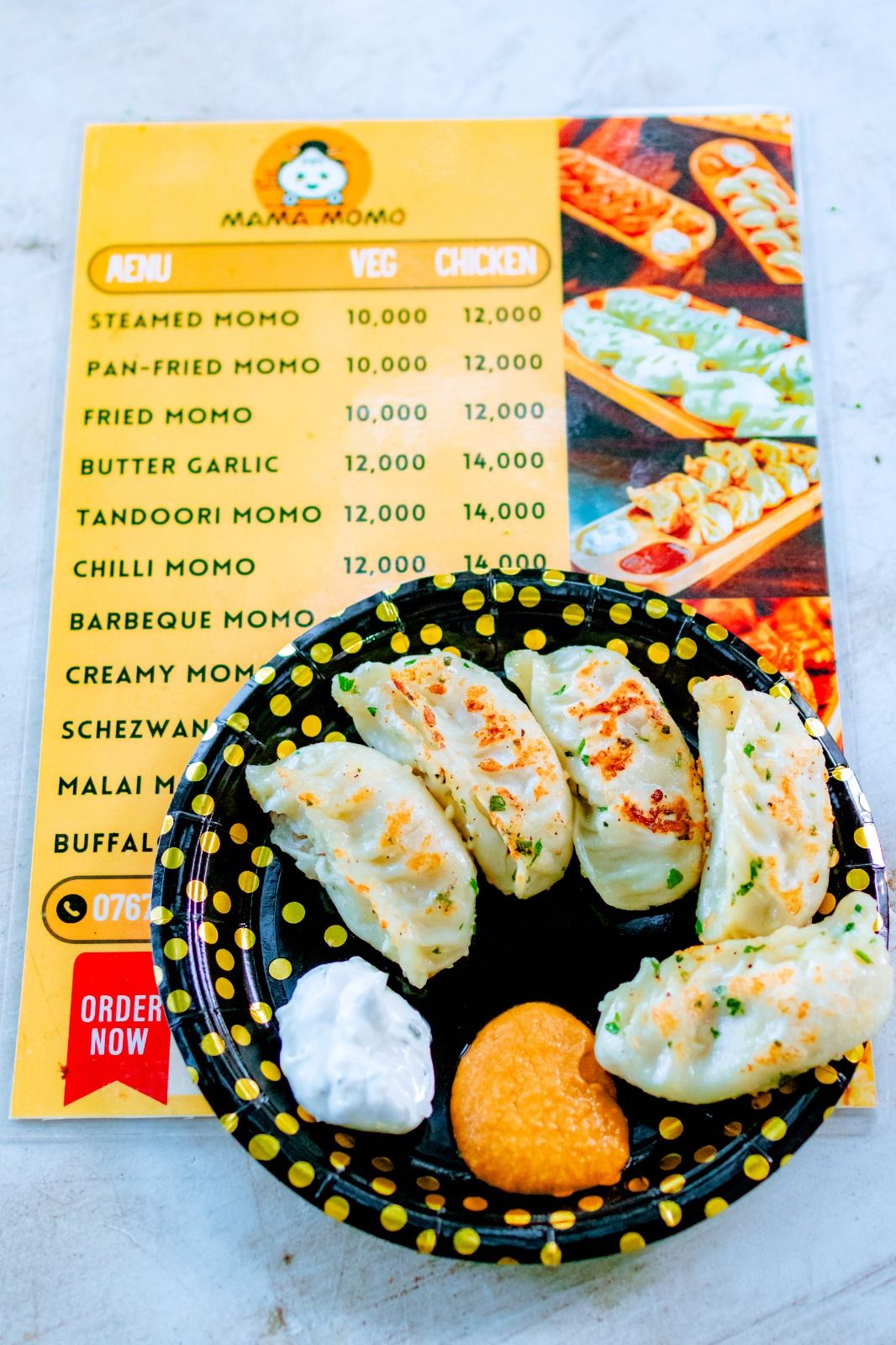 Pan Fried Chicken Momo