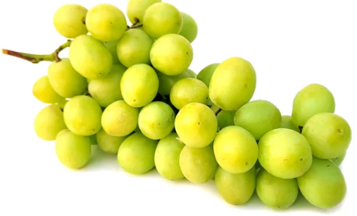 USA Premium Grapes