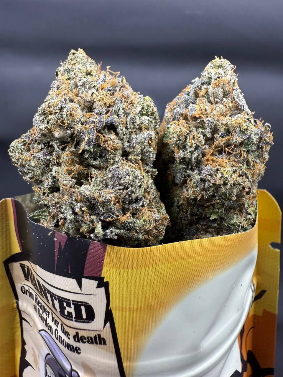 Blue Biscotti 🍪